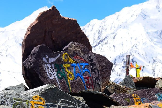 Private 4-Day Tiger Safari & Golden Triangle Tour from Delhi - Guides and the private-tour advantage