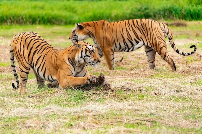 Private 4-Day Tiger Safari & Golden Triangle Tour from Delhi - Day 1: Qutub Minar, Old Delhi, and the road to Agra