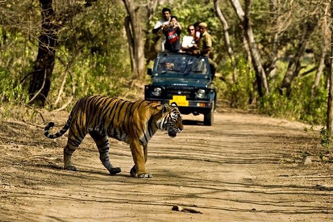 Private 5-Day Ranthambhore Tiger Tour from Delhi including the Taj Mahal, Agra and Jaipur - Delhi begins with Mughal grandeur and modern India