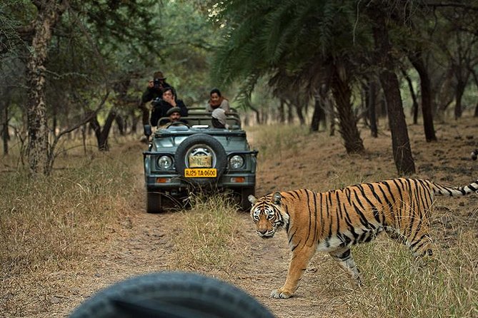 Private 6-Day Ranthambhore Tiger Tour including Delhi, Agra and Jaipur - Day 1: Delhi’s tombs, temples, and grand avenues
