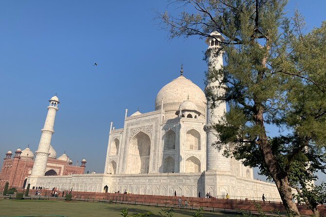 Private Agra Tour - Taj Mahal, Agra Fort & Baby Taj (Daytrip from Delhi) - Who should book this experience