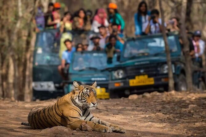 Private Delhi Agra Jaipur Multi Day Tour - Key points to know before booking