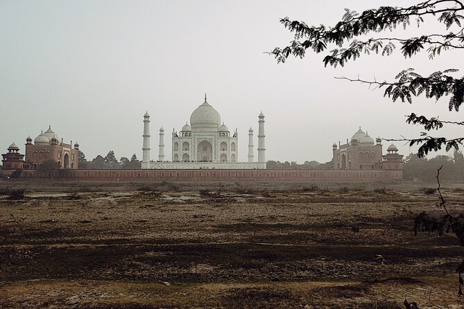 Private Full-Day Taj Mahal and Agra Fort Tour from New Delhi - The private car and group setup
