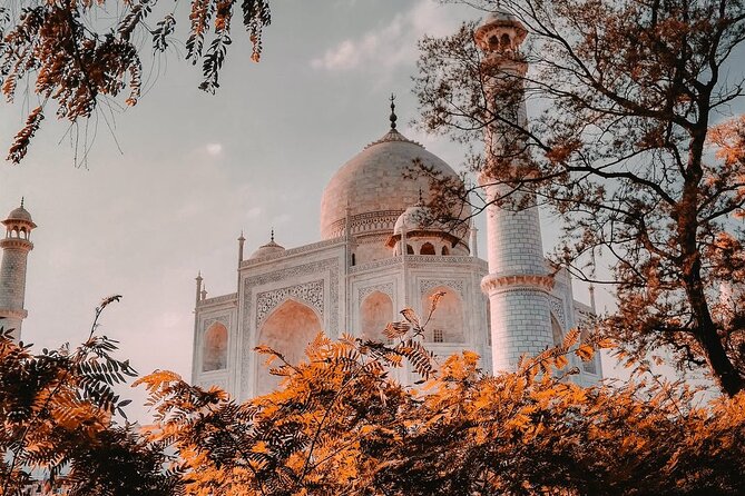 Private Same Day Tour To Taj Mahal From Delhi By Car - Timing, heat, and the return drive