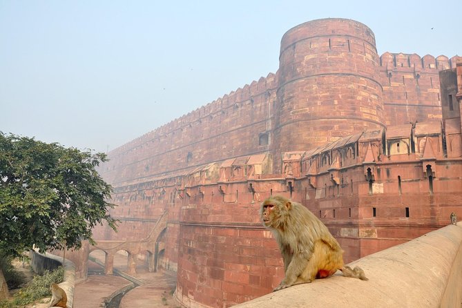 Private Taj Mahal & Agra Tour by Express Train From - Delhi - Agra Fort adds the history behind the famous monument