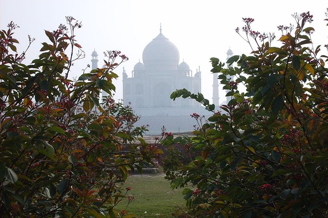 Private Taj Mahal from Delhi to Agra By Car - Lunch and the choice of packages