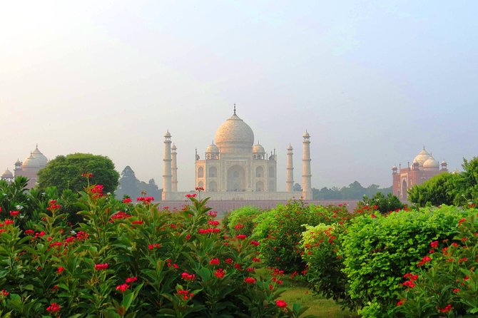 Private Taj Mahal Tour from Delhi by car - All Inclusive - Who will get the most from this day