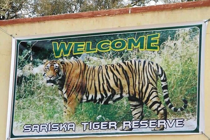 Private Tour from Delhi to Sariska Safari and Jaipur (1N/2D) - Sariska is the reason to make the long drive from Delhi