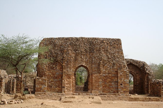 Private Walking Tour: South Delhi Heritage including Qutub Minar and Mehrauli Archaeological Park - Mehrauli Archaeological Park needs the right guide