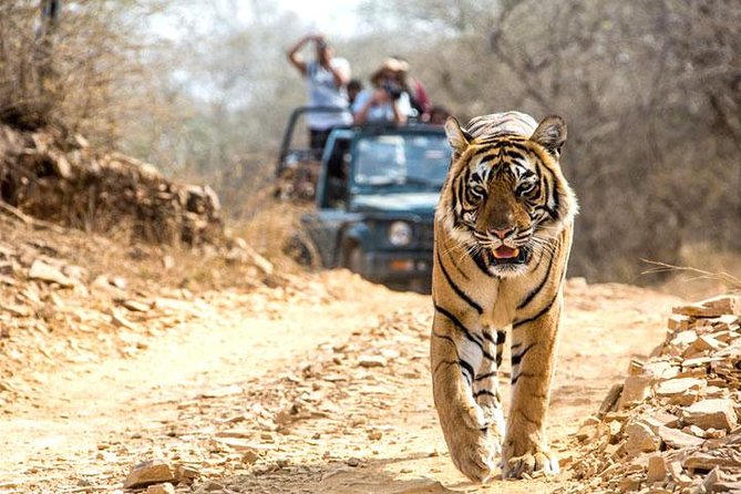 Ranthambhore Tiger Tour of Delhi, Agra, and Jaipur 5 Star Hotel - Delhi begins with Mughal grandeur and modern India