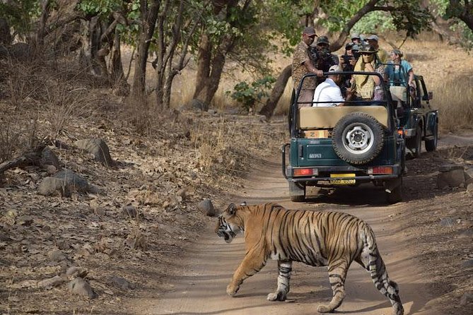 Ranthambhore Tiger Tour of Delhi, Agra, and Jaipur 5 Star Hotel - Keoladeo changes the pace before Agra
