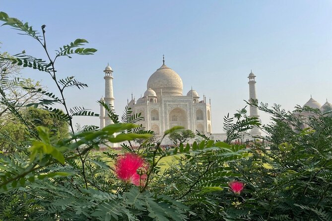 Same Day Tajmahal at Sunrise and SOS wildlife sanctuary tour - Two hours inside Agra Fort