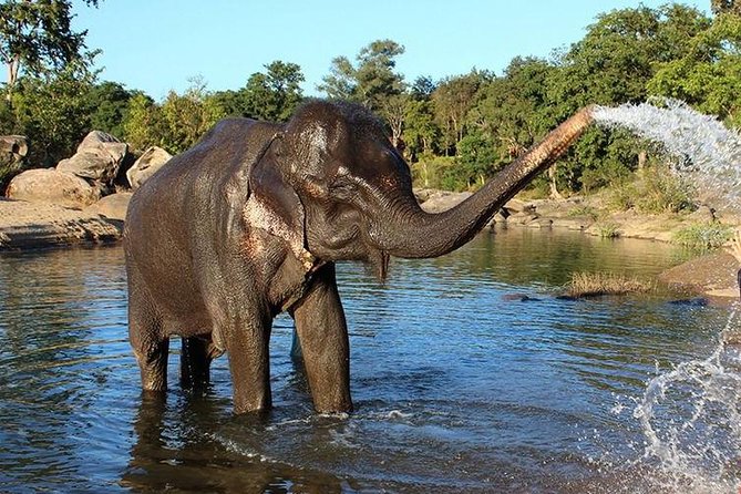 Same Day Tajmahal at Sunrise and SOS wildlife sanctuary tour - A short look at Itmad-ud-Daula
