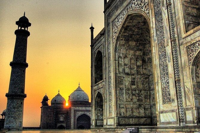 Same day Tajmahal tour with SOS Elephant/Bear wildlife Sanctuary - Why this Delhi day trip is different