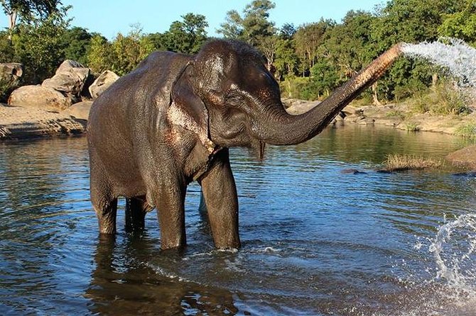 Same day Tajmahal tour with SOS Elephant/Bear wildlife Sanctuary - Itmad-ud-Daulah, the Baby Taj