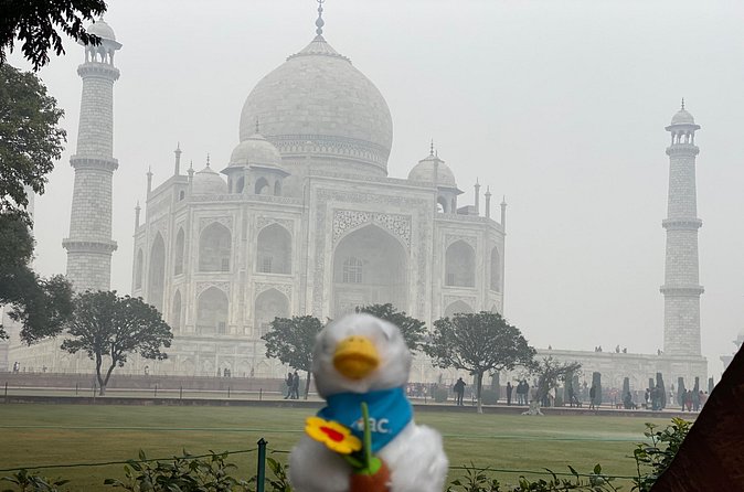 Skip-the-Line Taj Mahal Tour-Hassle-Free Entry & Guide Experience - Who will like this tour most