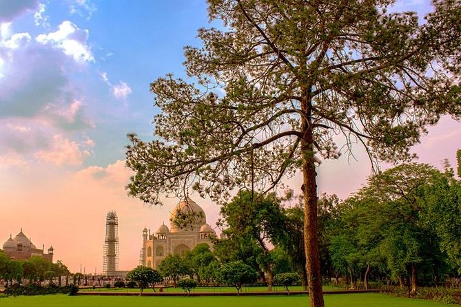 Taj Mahal & Agra Fort Day Tour From Delhi - All Inclusive & Lunch - Why the sunrise start is worth the alarm