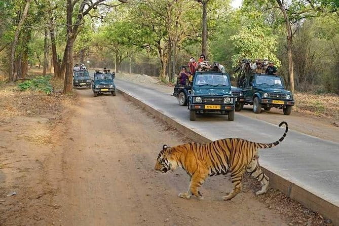Taj Mahal & Agra Private Day Tour from New Delhi by Car with Meal - Is the $10 price good value?