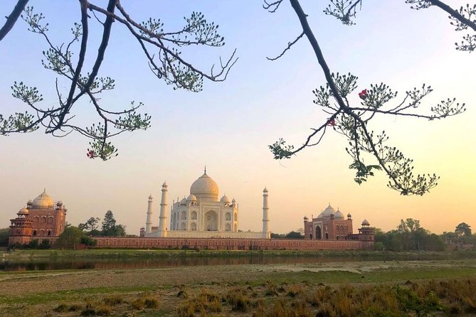 Taj Mahal Sharing Same Day Trip From Delhi Including all - The shared-tour question matters