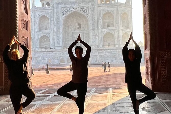 Taj Mahal skip the line luxury tour with guide - Does the $87 price offer good value?