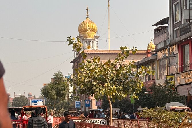 Tour to Old Delhi with Guide and Pickup - Chandni Chowk by foot and cycle rickshaw