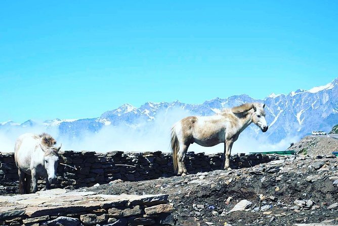 Unique Shimla and Manali tour - Shimla’s forest temples and high hill views