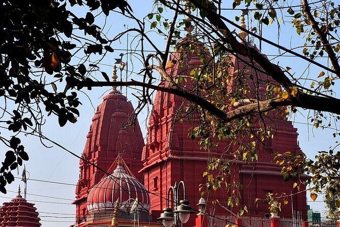 Unlock Delhi's Secrets: Food and Photography Full Day Tour - Who will enjoy this Delhi day most
