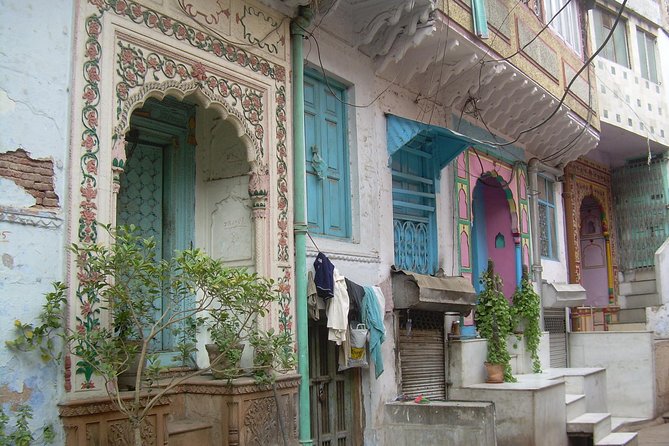 Vegan Food and walking tour in Delhi - My booking advice