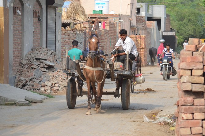 Village Snapshot - Pure and simple - Sonipat and the story of village life